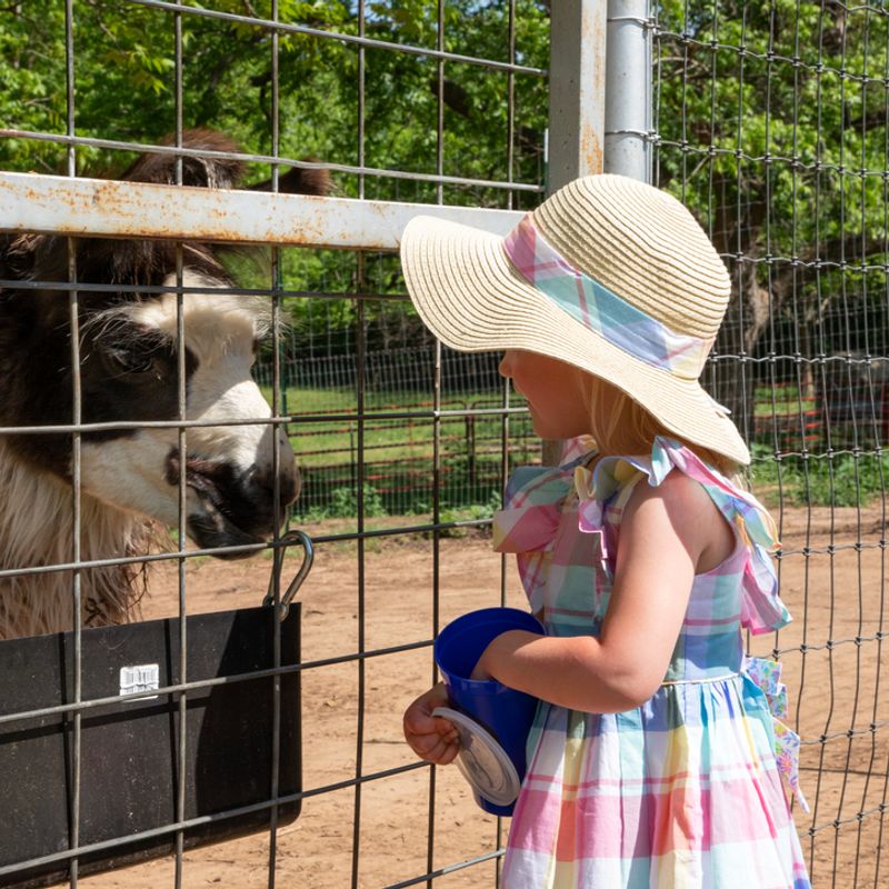 lost creek safari tours